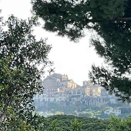 فيلا House Corso Calatafimi باليرمو المظهر الخارجي الصورة